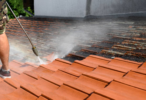 Best Power Washing Near Me  in Greenville, SC