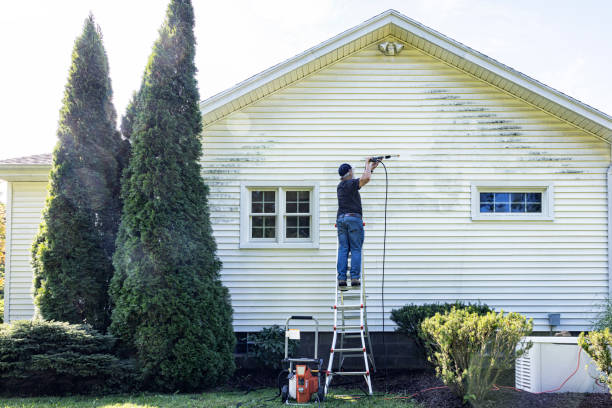 Best Roof Pressure Washing  in Greenville, SC